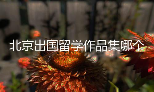 北京出国留学作品集哪个机构好?
