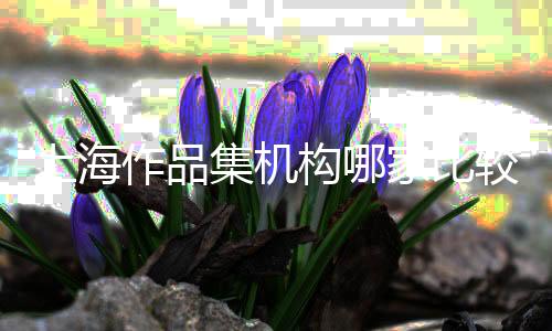 上海作品集机构哪家比较好?