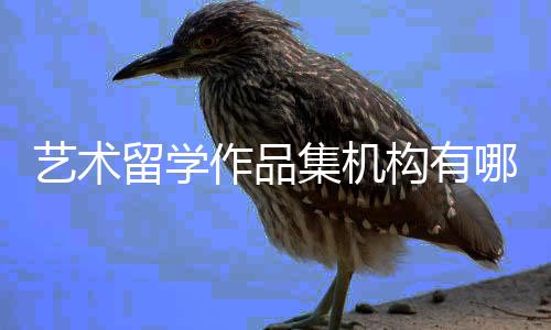 艺术留学作品集机构有哪些?