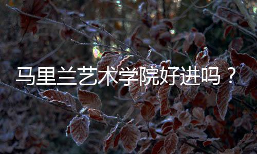马里兰艺术学院好进吗?