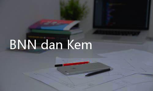 BNN dan KemenkumHAM Bahas Legalisasi Ganja, Begini Kata Natalius Pigai!