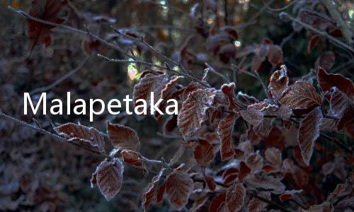 Malapetaka Kuda Nil 'Kokain' Pablo Escobar, Ada Rencana Disuntik Mati