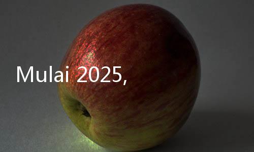 Mulai 2025, Turis Asing Masuk Eropa Harus Bayar Rp121 Ribu