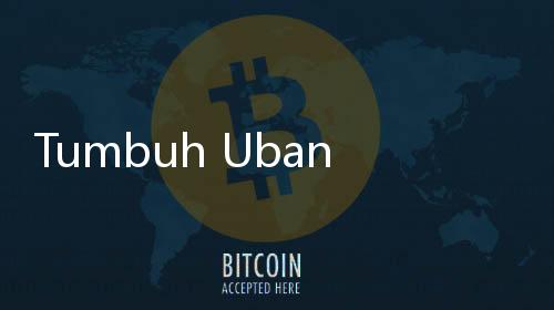 Tumbuh Uban di Usia Muda? Ini 5 Penyebabnya